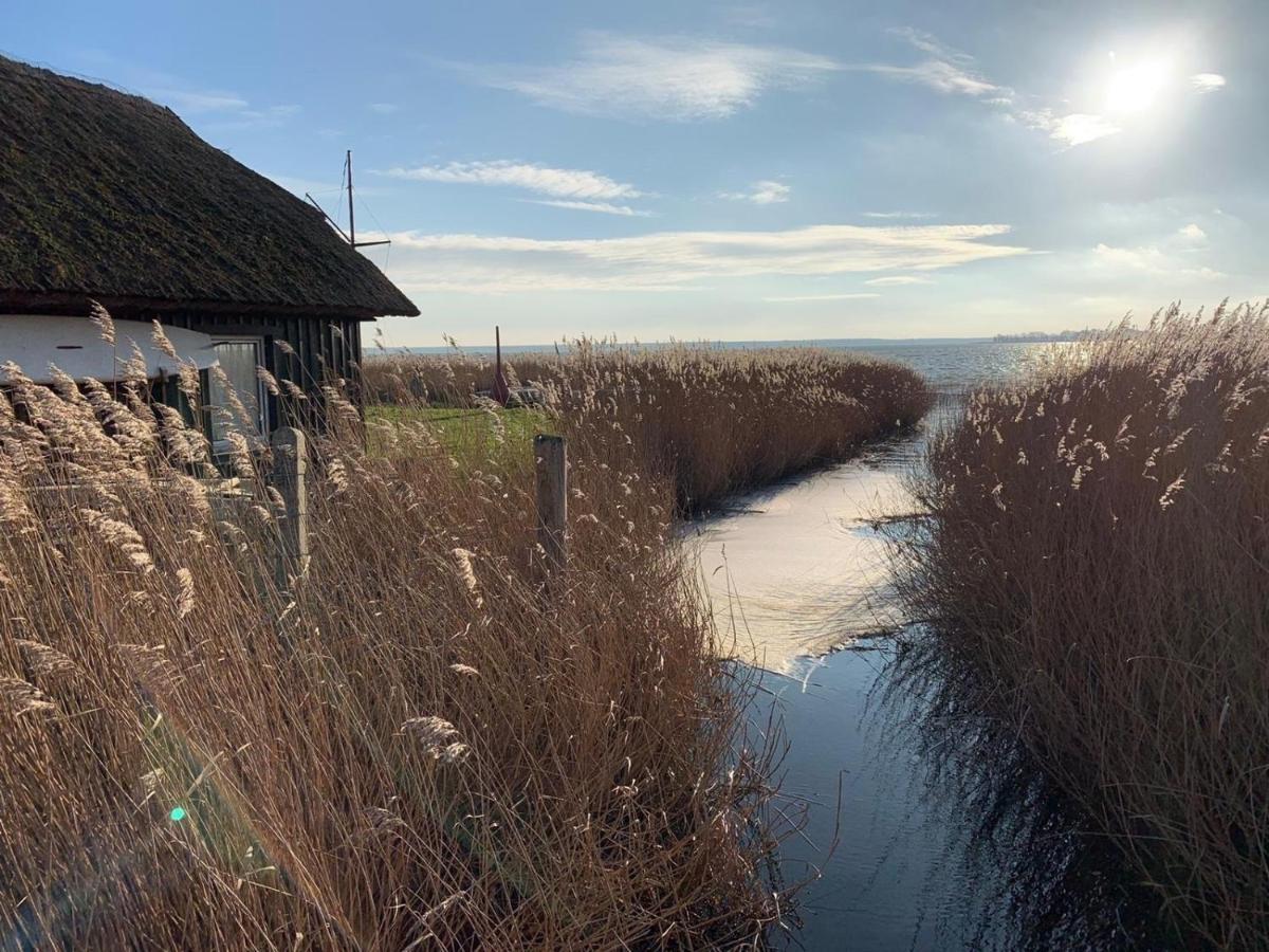 Am Haferland "Darss-Traum" Apartment Wieck Bagian luar foto